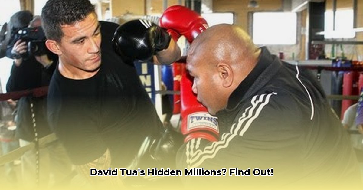 david-tua-net-worth